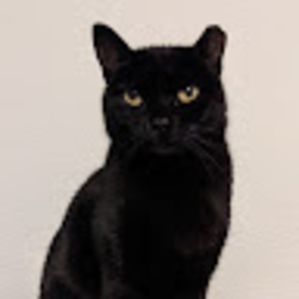 Meet your Posher, Charles